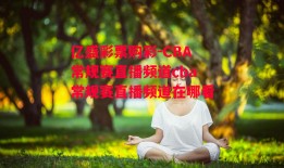 亿盛彩票购彩-CBA常规赛直播频道cba常规赛直播频道在哪看